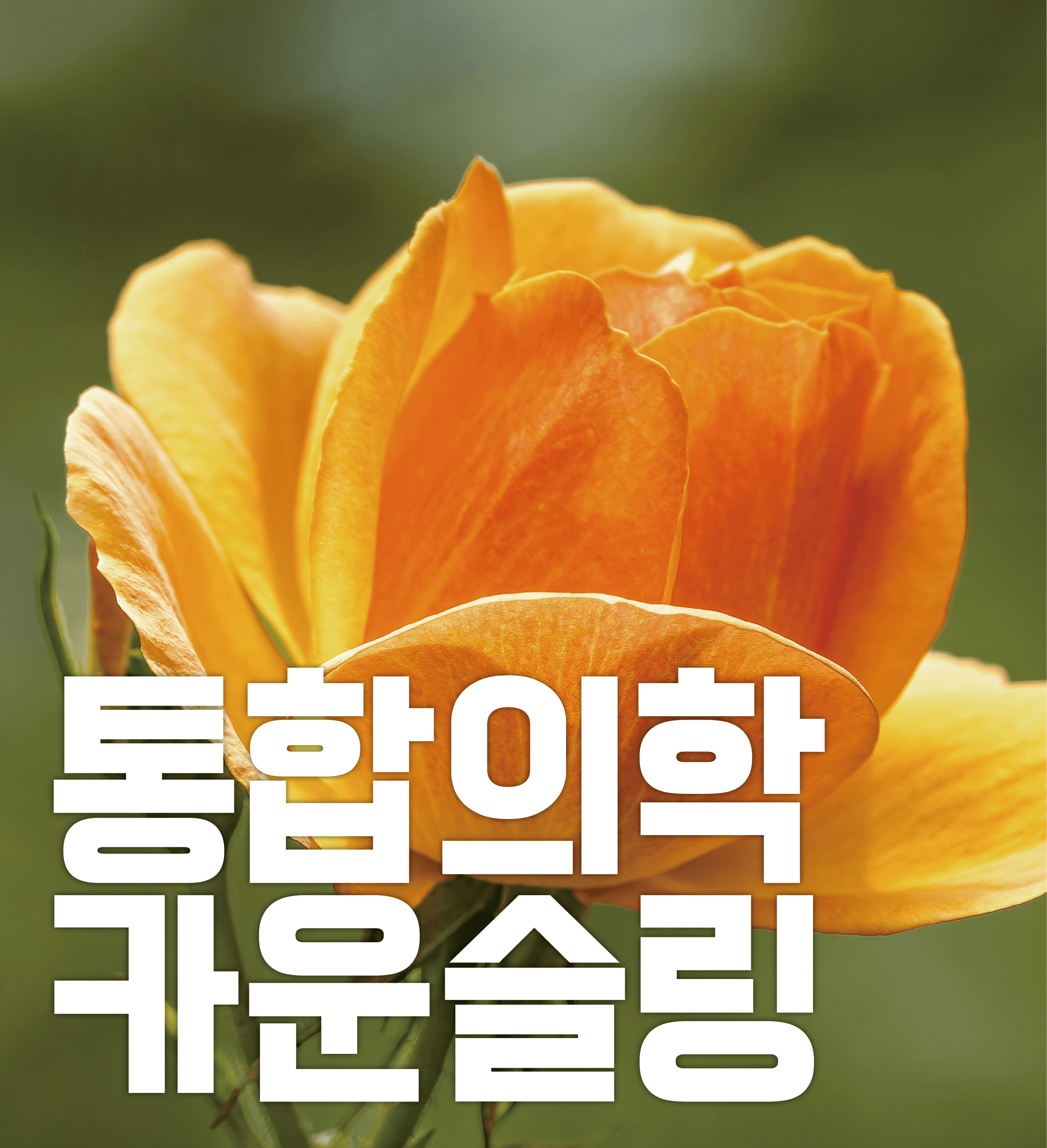 상담안내 이미지 1