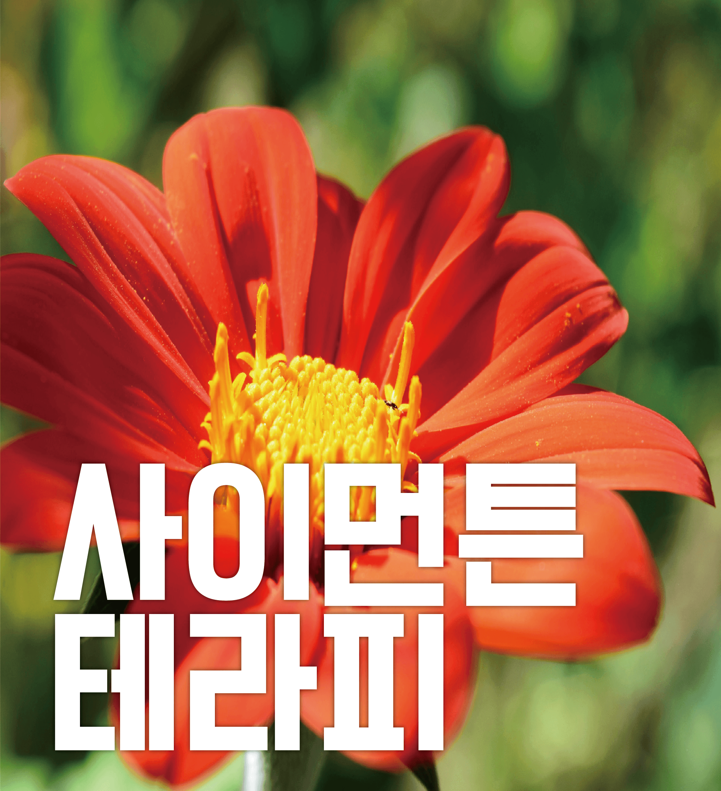 상담안내 이미지 2