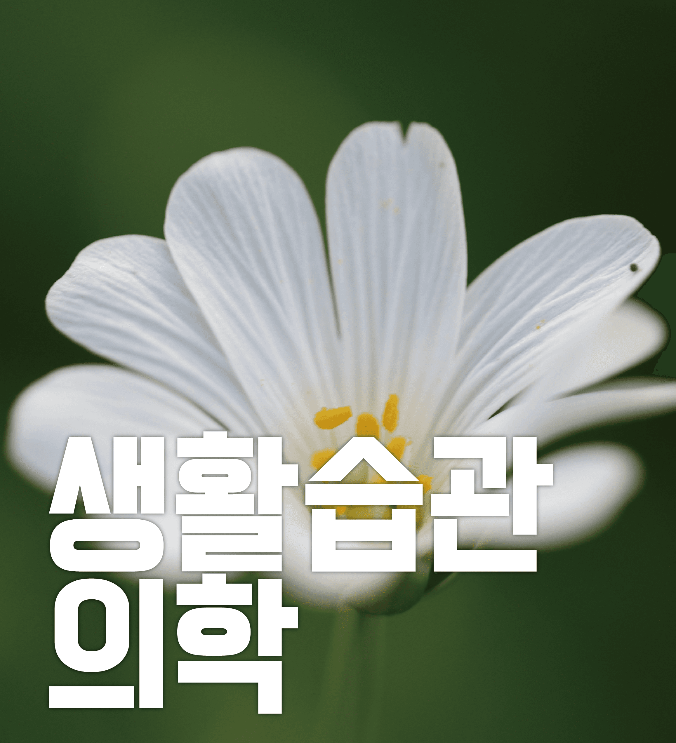 상담안내 이미지 3
