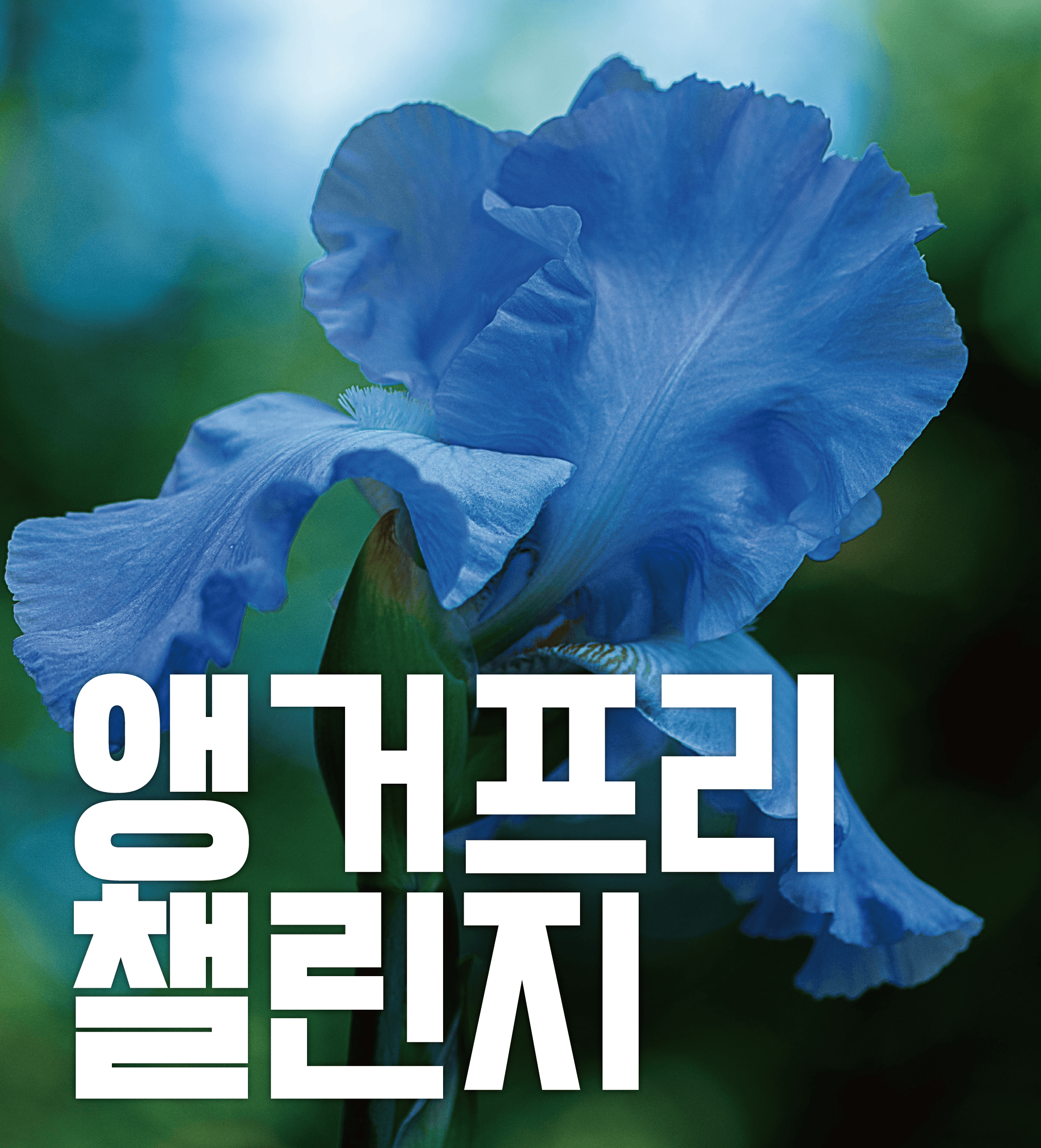 상담안내 이미지 4