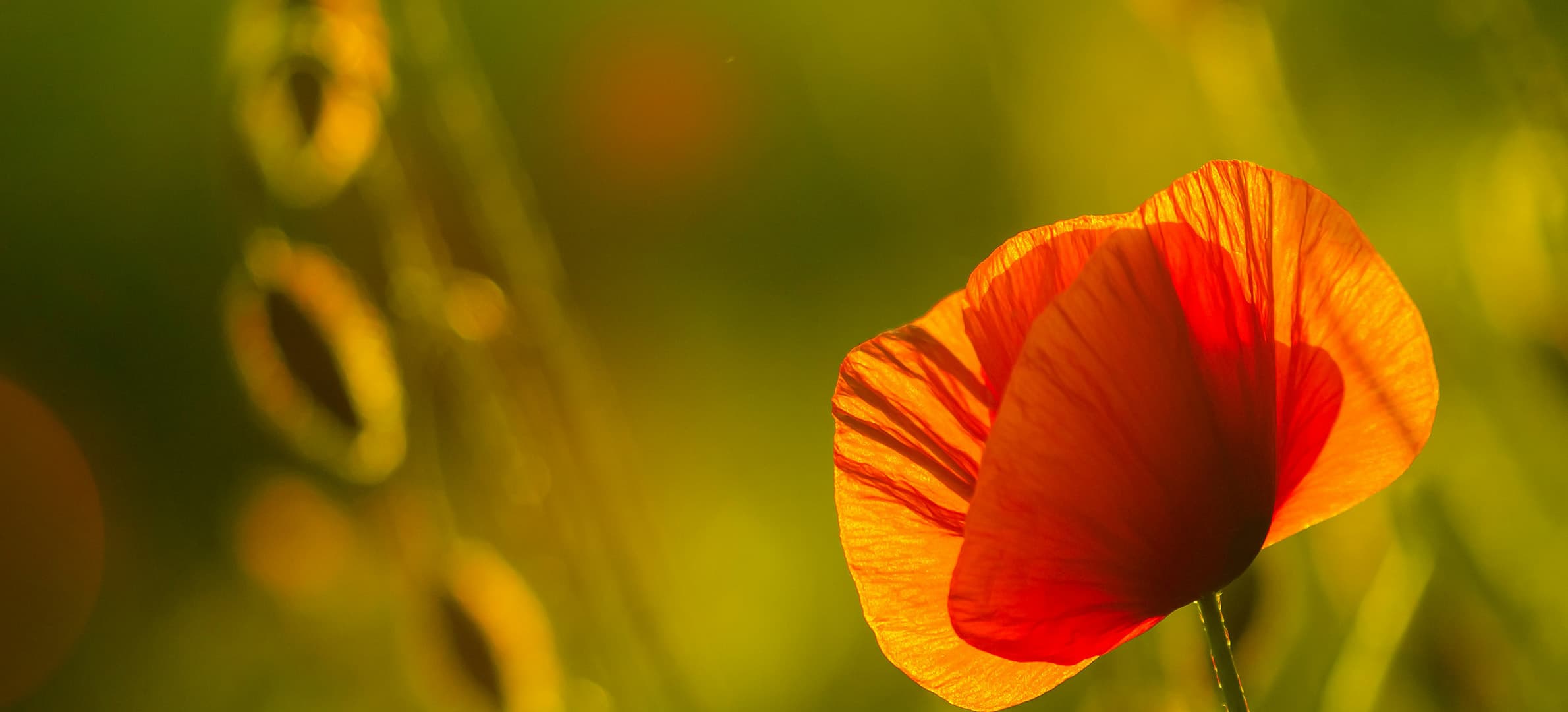 치유와 상담을 위한 공간